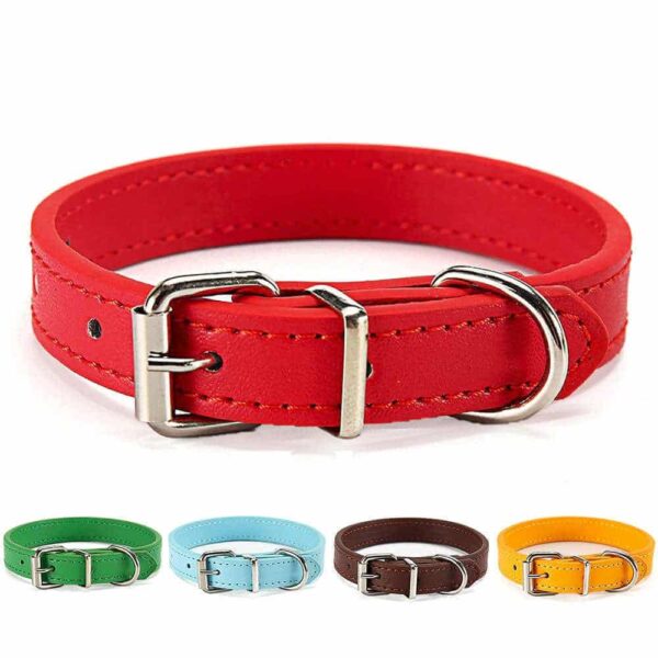 Buy Petstar PU Leather Dog Collar for Puppies & Small Dogs in Kenya