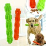 Durable Aggressive Chew Dog Toothbrush Stick Dog Treat Toy in Kenya