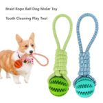 Chew Fetch Dog Toys in Kenya from Petsasa Pet House Kenya Braid Rope Dog Toy with Treat Ball