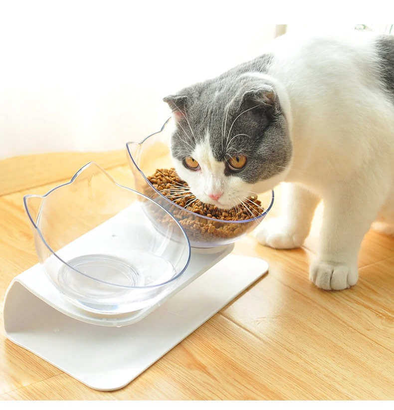 Best Raised Cat Bowl Plate in Kenya KittyPro Elevated Cat Food Bowl Double Diner