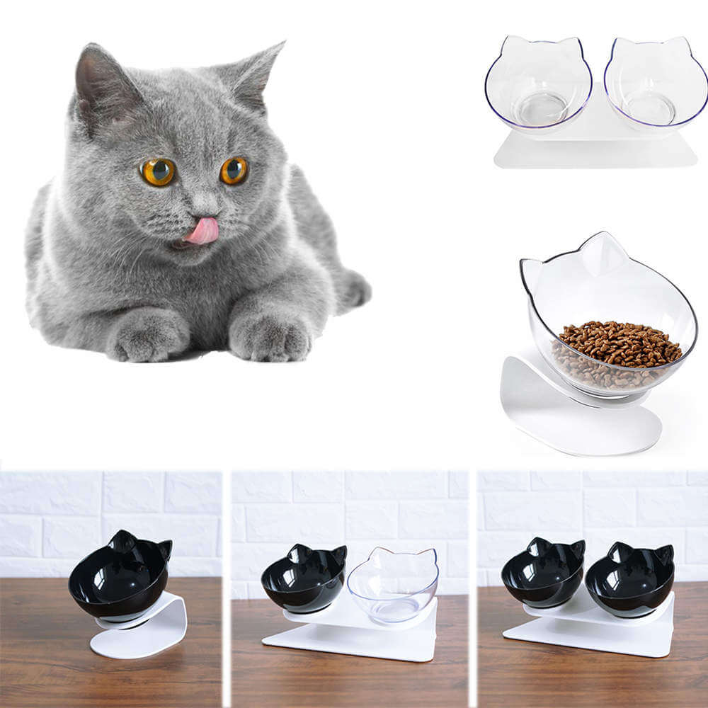 Petsasa Raised Elevated Cat Bowls in Kenya