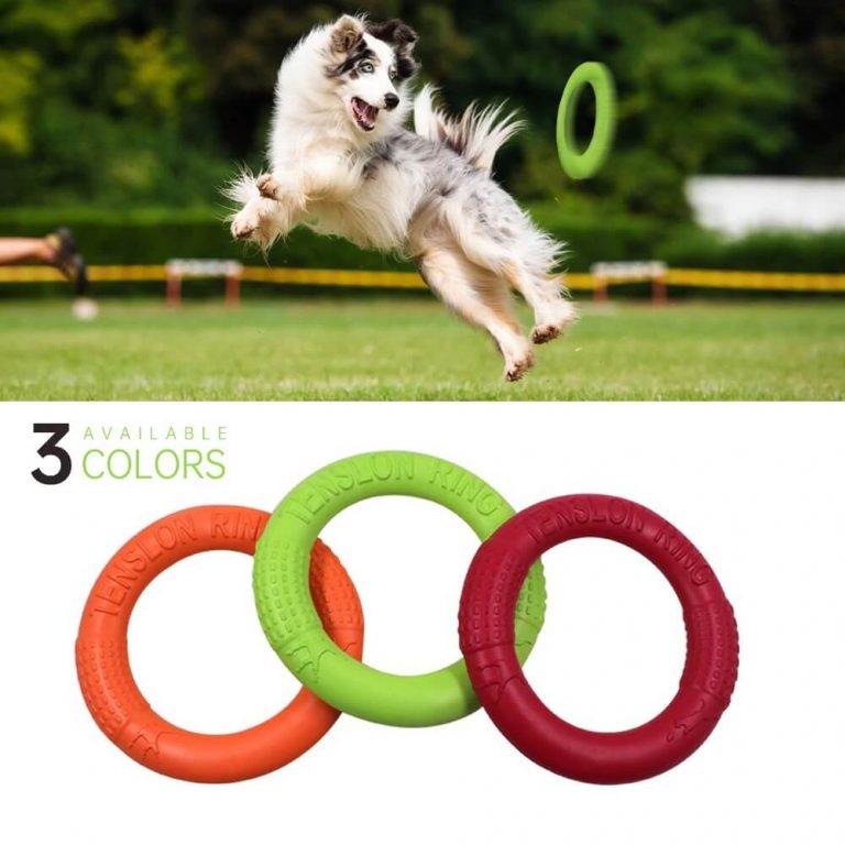 Tension Ring Frisbee Fetch Dog Toy Pet Flying Discs Dog Training Ring Puller Resistant Bite Floating Toy Puppy Outdoor Interactive Game Playing Petsasa Pet House Kenya for The Royal Pets