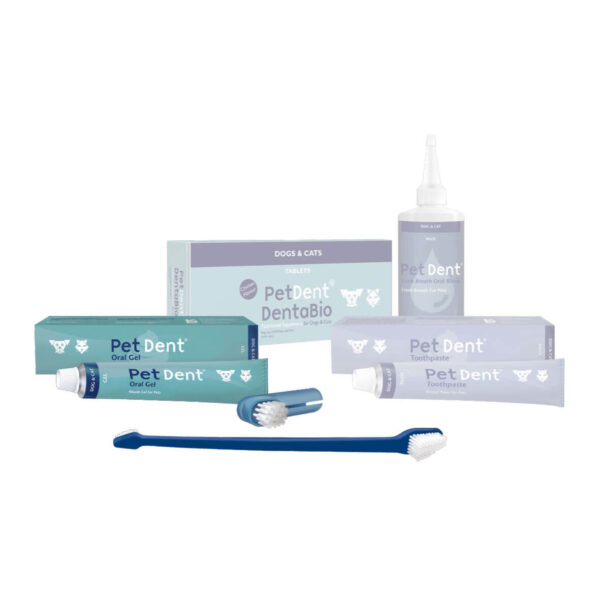 Buy PetDent Oral Gel - Teeth cleaning for cats and dogs in Kenya