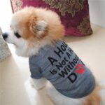 Buy Grey A House is Not Home Without A Dog Summer Dog T-Shirt in Kenya for Small, Medium and large dogs