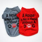 Buy A House is Not Home Without A Dog Summer Dog T-Shirt in Kenya on Petsasa