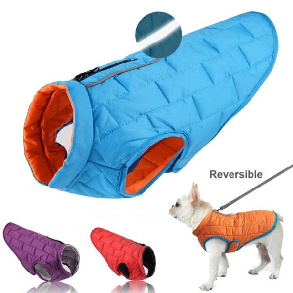 Buy Petsasa Padded Dog Jacket, Adjustable, With Leash Opening in Kenya Pet store online