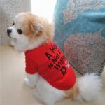 Buy Red A House is Not Home Without A Dog Summer Dog T-Shirt in Kenya on Petsasa pet store kenya for small, medium and large dogs