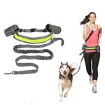 Buy Hands-Free Running Dog Leash, Elastic, Reflective in Kenya on Petsasa