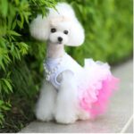 Beautiful Pink Dog Dress Pet Clothes Kiss Me Lace Dog Dress, For Cats & Dogs in Kenya By Petsasa Pet Store