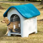 Best Cottage Style Dog House