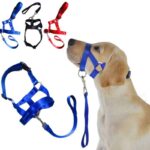 The Best Halti Style Dog Head Collar & Leash Gentle Halter Lead For Dog Training in Kenya