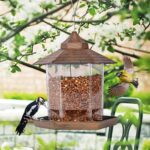 Top Garden Panorama Hanging Bird Feeder Online in Kenya Pet Store Karen