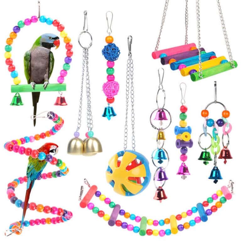 Buy Best Colourful Parrot Bird Perches, Swings and Toys Set in Kenya Petsasa Pet House