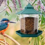 Beautiful Garden Panorama Hanging Bird Feeder in Pet Store Kenya Location