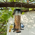 Best Hanging Wild Bird Seed Feeder Petsasa Nairobi Kenya