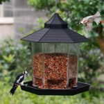 Buy the Best Garden Panorama Hanging Bird Feeder in Kenya on Petsasa Pet Shop Near Me