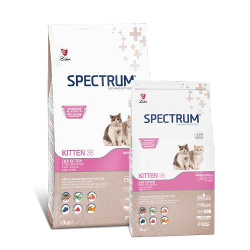 Ultra Premium Spectrum 38 Kitten Food Pet Store Kenya