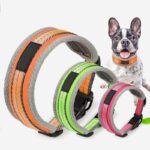 Best Petsasa Padded Sports Dog Collar, Adjustable, Back Clip For Outdoors and Training in Nairobi Kenya