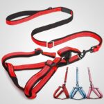 petsasa Classic Reflective Back Clip Dog Harness & Dog Leash Nairobi Kenya Pet Store