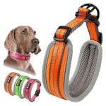 Petsasa Padded Sports Dog Collar, Adjustable, Back Clip Nairobi Kenya