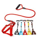 Petsasa Polyester Step In Back Clip Dog Harness with Padded Dog Leash Nairobi Kenya