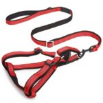 Small, Medium and Large Classic Reflective Back Clip Dog Harness & Dog Leash in Kenya