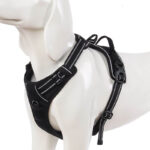 Adjustable Petsasa No Pull Reflective Front Clip Dog Harness in Nairobi Kenya