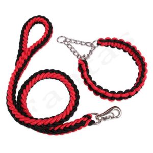 Braided Urban Dog Leash and Dog Collar in Kenya