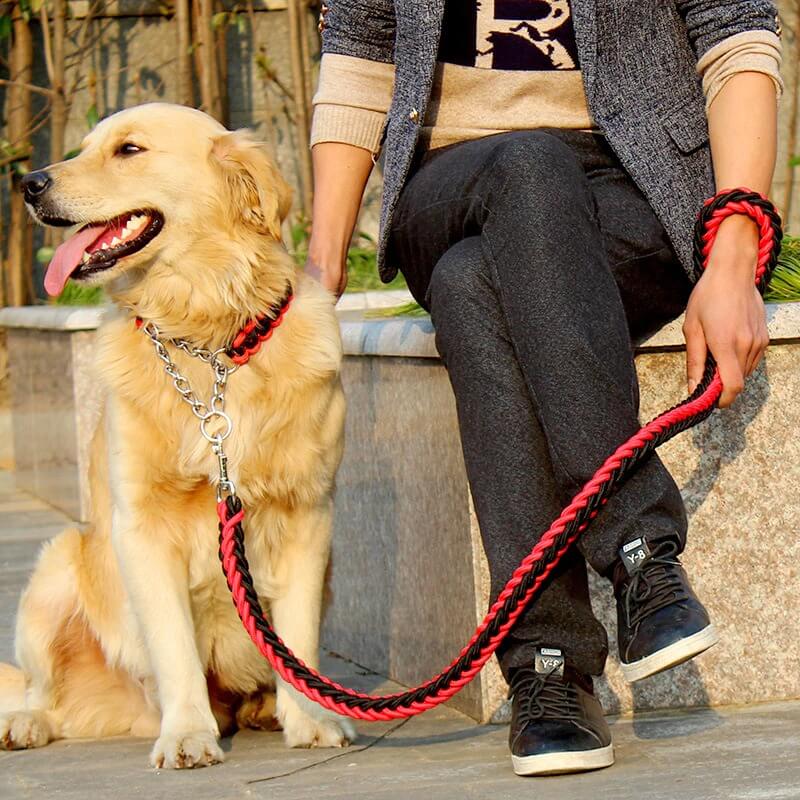 Best Dog Leads for Big Large Dogs in Kenya Petsasa Braided Urban Dog Leash and Dog Collar