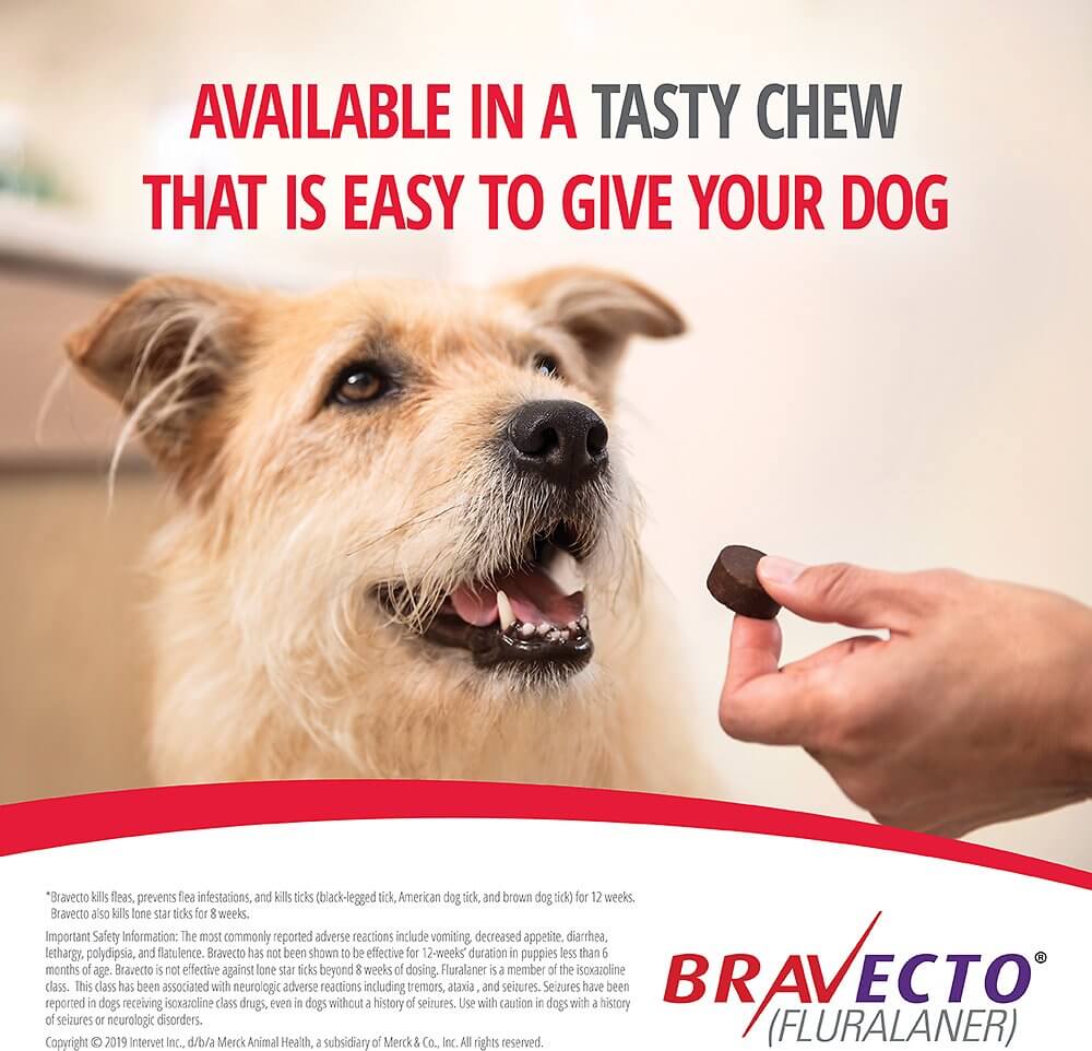 Soft Chews Bravecto for Small Dogs in Nairobi Kenya on Petsasa