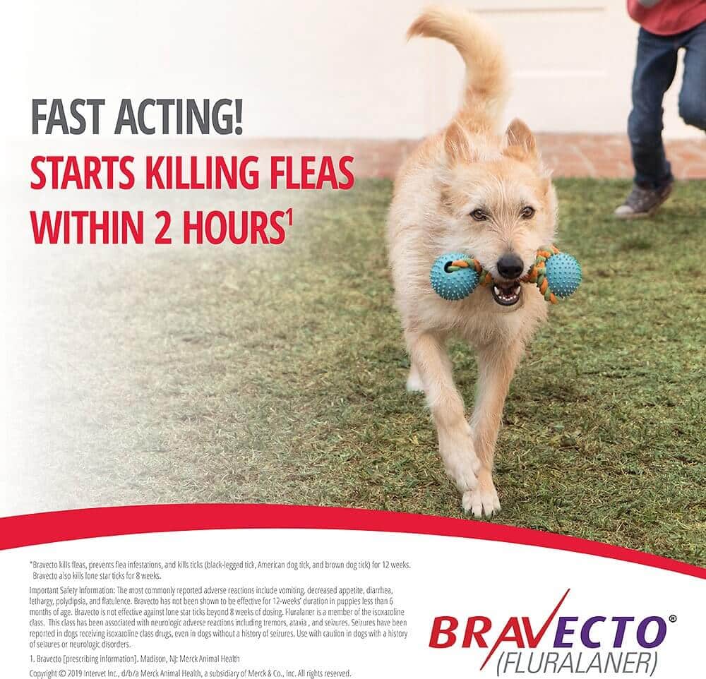 Fast Acting Flea and Tick Medicine Bravecto for Small Dogs in Nairobi Kenya
