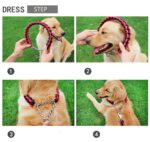 How to Wear the Petsasa Braided Urban Dog Leash and Dog Collar