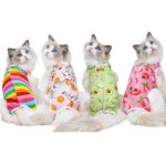 Buy Funky Small Dog & Cat Recovery Suit Clothe & Pajamas in Kenya