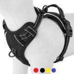 Petsasa No Pull Reflective Front Clip Dog Harness in Kenya