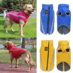 Buy Petsasa Padded Outdoor Dog Jacket, Medium & Large Dogs Online in Nairobi Kenya Pet Store