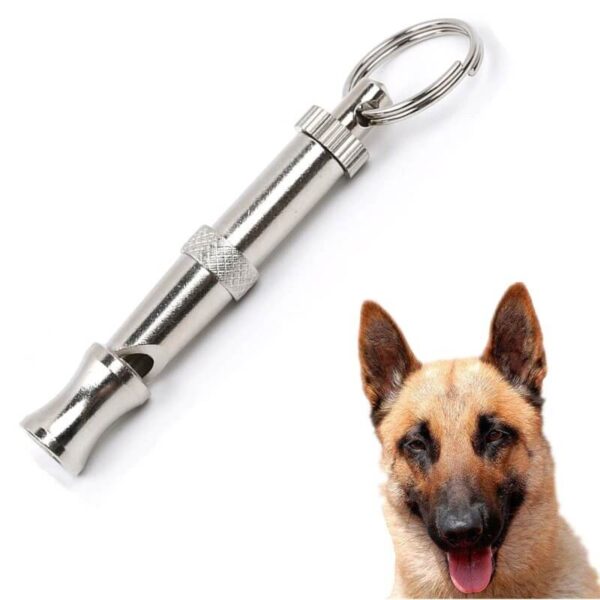 Professional Dogs Training Dog Whistle in Nairobi Kenya