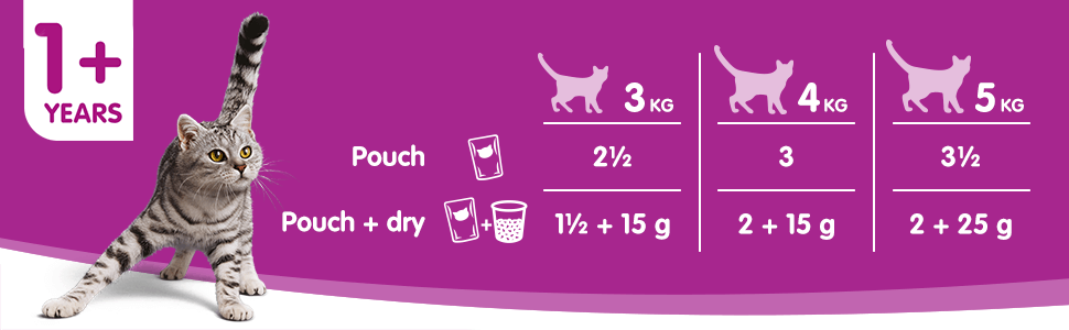 Feeding Guide for Whiskas Pouch Adult 1+ Fish Selection in Jelly