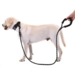 Dog Walking Petsasa Reflective Rope Dog Leash with Padded Handle