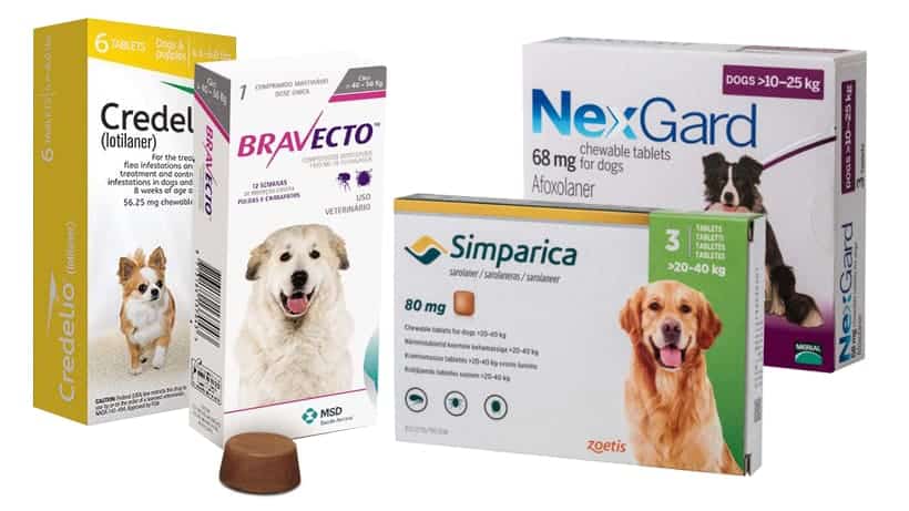 Dog Flea & Tick Treatment & Medicine in Kenya