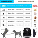 Size Chart Fitting Step-In Soft Vest Cat Harness + Leash at Petsasa Kenya in Nairobi