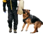 Buy Professional Dog Training Bite Sleeve at Petsasa Kenya in Nairobi