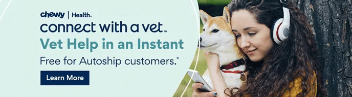 Pet Store and Pet Services in Kenya 31