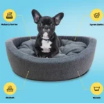 Best Beautiful Superfoam Fluffy Paw Dog Bed for Small and Medium Dogs in Kenya