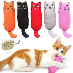 Best Funny Faces Plush Cat Toy with Catnip in Kenya at Petsasa Online Petstore