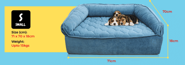 Superfoam Royal Pet Dog Sofa Bed for small dogs in Kenya