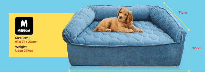 Superfoam Royal Pet Dog Sofa Bed for small medium and large dogs in Kenya