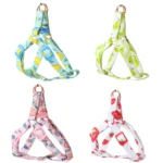 Best Choise of Autumn Fruits Step In Back Clip Dog Harness & Leash in Kenya