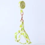 Most Beautiful Best Choise of Autumn Fruits Step In Back Clip Dog Harness & Leash in Kenya Petshops