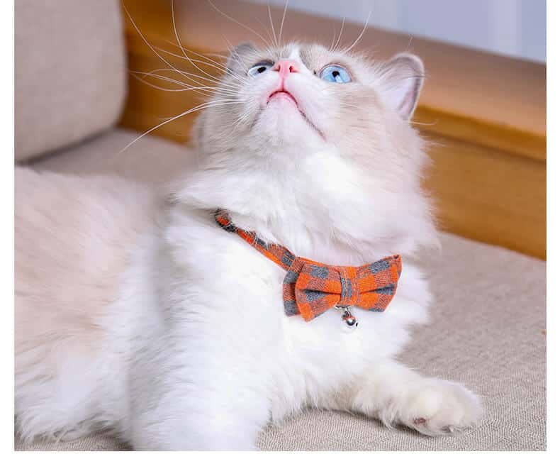 Most Beautiful Festive Plaid Breakaway Collar With Removeable Bow & Bell , For Cats and Dogs in Nairobi Kenya