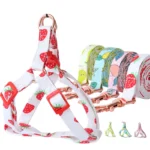 Shop Autumn Fruits Step In Back Clip Dog Harness & Leash online in Kenya